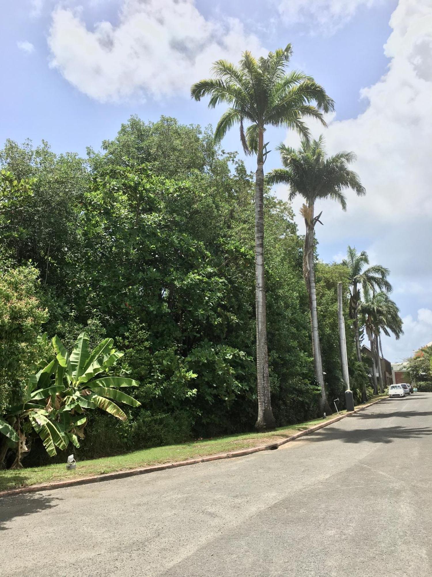 Appartement St Francois Manganao Guadeloupe Saint-Francois (Grande-Terre) Exterior foto